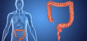 أعراض القولون العصبي لجميع الأعمار أعراض-القولون-العصبي