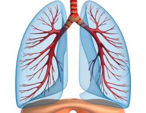 أسباب ضيق التنفس أسباب-ضيق-التنفس