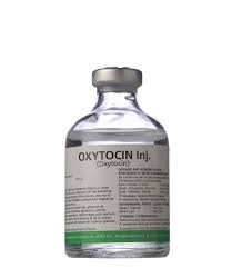 أسباب-نزول-المشيمة