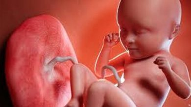 أسباب نزول المشيمة وتأثيرها علي الجنين فترة الحمل أسباب-نزول-المشيمة