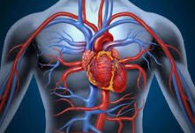 أعراض-أمراض-القلب-الوعائية