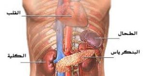 أعراض تضخم الطحال