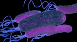 أعراض-سرطان-المعدة