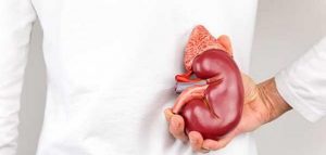 أهم أمراض الجهاز البولي للذكر والأنثى أهم-أمراض-الجهاز-البولي