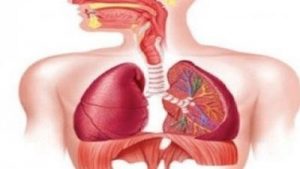 كيفية علاج السعال الجاف كيفية-علاج-السعال-الجاف