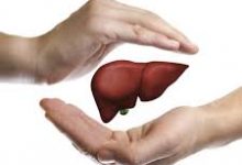 ما هو علاج تليف الكبد وتكلفة زراعتة ما-هو-علاج-تليف -الكبد