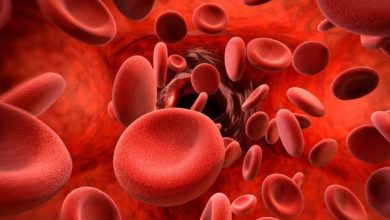 أعراض فقر الدم و6 نصائح للوقاية منه أعراض فقر الدم