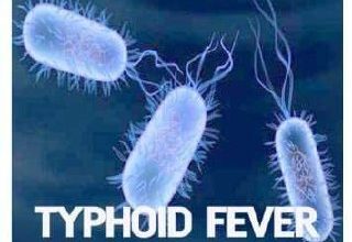 أعراض حمى التيفود حمى_التيفود