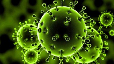 ما هي خطورة كورونا كوفيد 19 ما هي خطورة كورونا كوفيد 19
